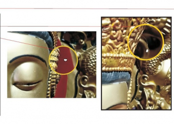 三千年一現！陀彌天紫竹林寺「觀自在佛像」開出「優曇婆羅花」