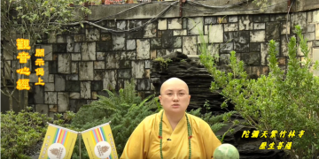 第三眼智慧 – 觀音心經 開示偈 (上)│歷生菩薩