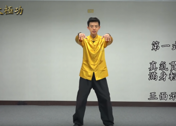 天地人調元之人：（二）養生基本功法-1| 玄宇太極功