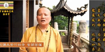 法身有約(20)磨與魔│智開菩薩