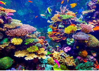 天書推薦／生命累世的體悟造就不滅的你《天地萬物結 (二部曲)》