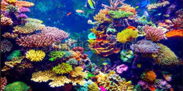 天書推薦／生命累世的體悟造就不滅的你《天地萬物結 (二部曲)》