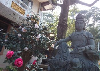 天書推薦／成佛才是你此生的目標《AI超感應智慧》