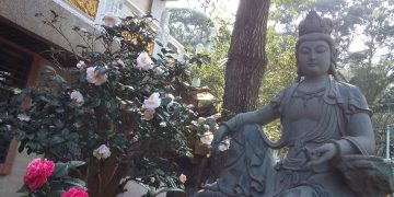 天書推薦／成佛才是你此生的目標《AI超感應智慧》