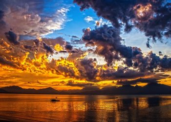 天書推薦／破解死亡的魔咒《飛躍死亡線—臨終處理手冊》