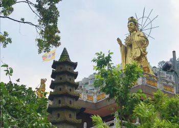 【真主在台灣】生命不是在追隨真主，就是在尋找真主的路上