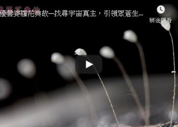 優曇婆羅花典故—找尋宇宙真主，引領眾蒼生邁向成神成佛之路
