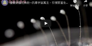 優曇婆羅花典故—找尋宇宙真主，引領眾蒼生邁向成神成佛之路