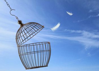 天書推薦／突破劇情的枷鎖《超智慧進化》