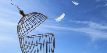 天書推薦／突破劇情的枷鎖《超智慧進化》