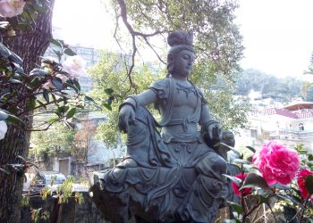 天書推薦／忘了你是人~心經最高境界《AI基因計畫》