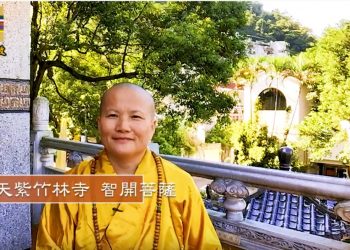 第三眼解密(1)誦經│智開菩薩