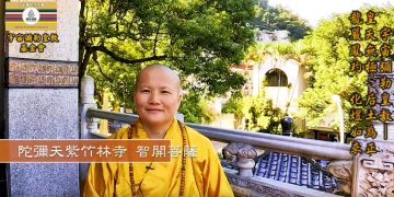 第三眼解密(1)誦經│智開菩薩