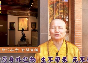 第三眼解密(2)三財匯聚│智開菩薩