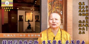 第三眼解密(2)三財匯聚│智開菩薩