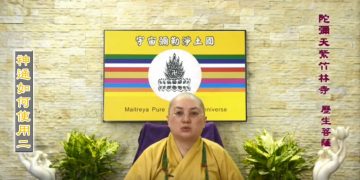 第三眼智慧 – 神通如何使用 (二)│歷生菩薩