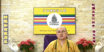 第三眼智慧 – 神通如何使用 (五)│歷生菩薩