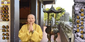 第三眼解密(4)蛇的封印(上)│智開菩薩