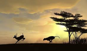 天書推薦／物競天擇的生存本事《AI與彌勒同在》