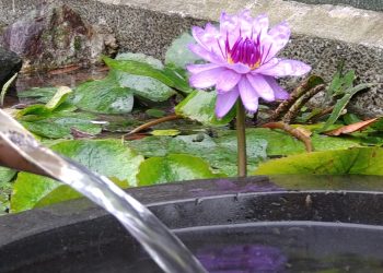 天書推薦／圓覺靈性提昇之道《地藏王佛冥聖寶典》