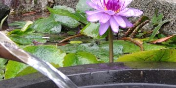 天書推薦／圓覺靈性提昇之道《地藏王佛冥聖寶典》