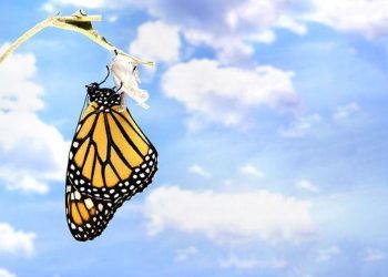 天書推薦／成佛歷程猶如蝴蝶展翅高飛《彌勒聖道行(六部曲)須彌山斬妖記》