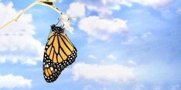 天書推薦／成佛歷程猶如蝴蝶展翅高飛《彌勒聖道行(六部曲)須彌山斬妖記》