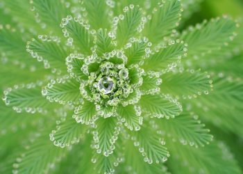 天書推薦／坦然面對靈魂的教導《宇宙靈魂學(下)》