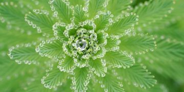 天書推薦／坦然面對靈魂的教導《宇宙靈魂學(下)》