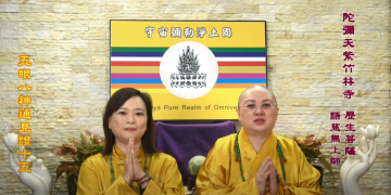 第三眼智慧 – 五眼八神通見證 (十五)│歷生菩薩