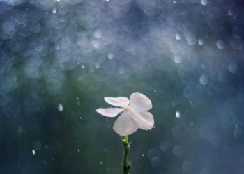 天書推薦／修行要有出離心《宇宙靈魂學(下)》