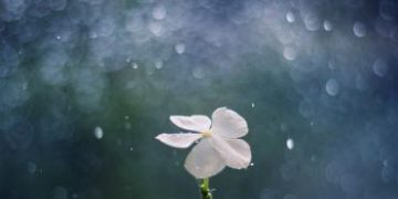 天書推薦／修行要有出離心《宇宙靈魂學(下)》