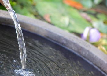 天書推薦／生命就是要往前走，向前看《九龍記 (三部曲) 勒赫巴的野心》