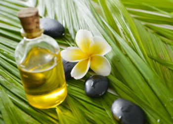 天書推薦／生命喚醒的學問～芳香療法《天香美人》