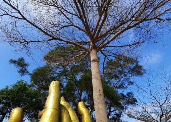 天書推薦／ 獨一無二的生命劇本《彌勒一貫道 聖火錄》