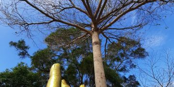 天書推薦／ 獨一無二的生命劇本《彌勒一貫道 聖火錄》