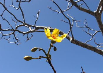 天書推薦／物競天擇《宇宙神通之眼》