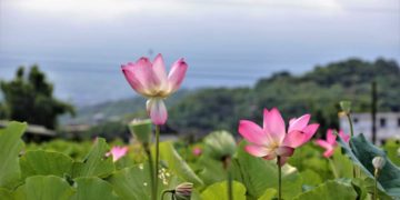 天書推薦／成佛的過程與體悟《彌勒聖道行 (五部曲) 龍皇寶劍爭奪戰》