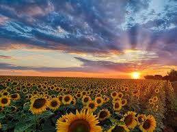 天書推薦／獨一無二的你，造就獨一無二的智慧《天地萬物結(二部曲)》