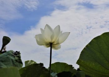 天書推薦／如何才是對生命負責《天國永生契约 尋找生命的出處》