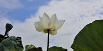 天書推薦／如何才是對生命負責《天國永生契约 尋找生命的出處》