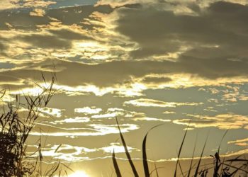 天書推薦／生命是由闇而出、由光而生《宇宙神通之眼》