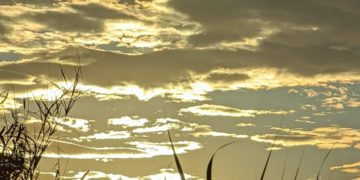 天書推薦／生命是由闇而出、由光而生《宇宙神通之眼》