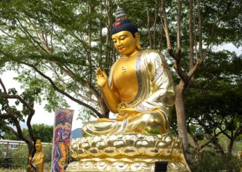 天書推薦/成神成佛時代來臨(一)天人合一的龍紀元新時代《金輪聖皇》