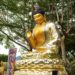 天書推薦/成神成佛時代來臨(一)天人合一的龍紀元新時代《金輪聖皇》